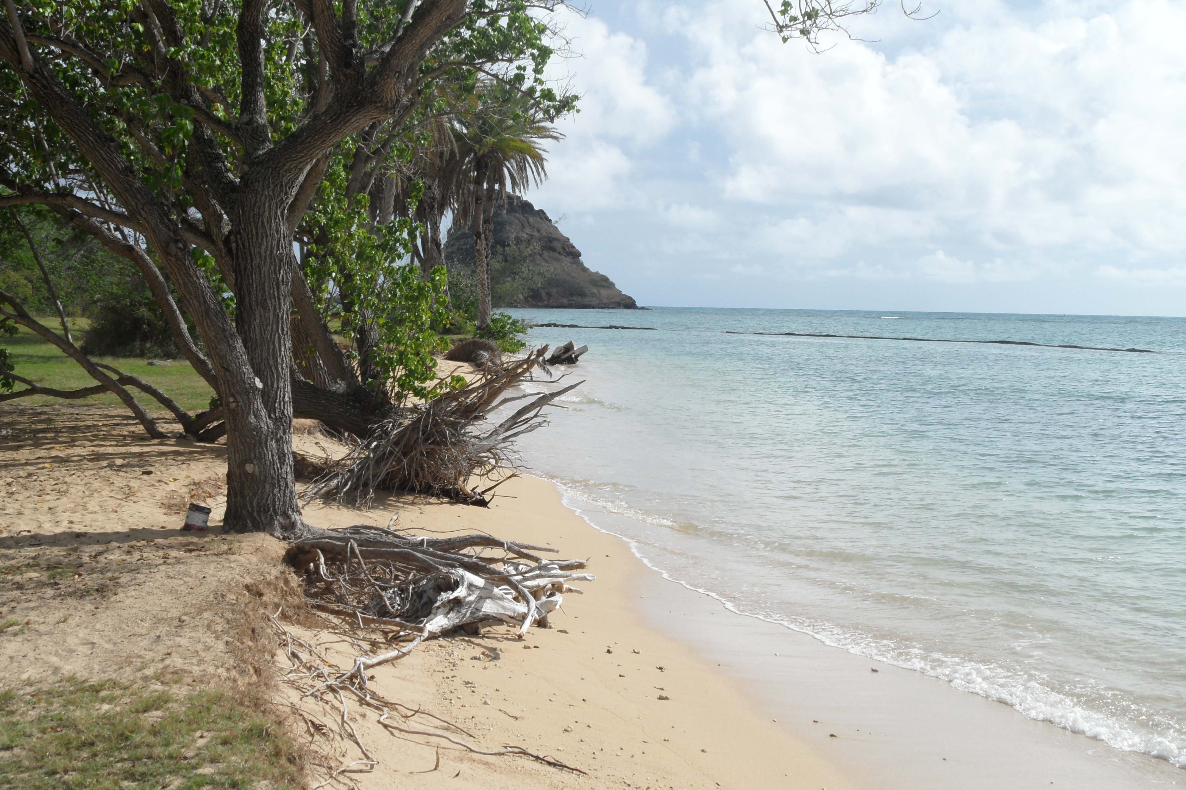 Hawaii_2432