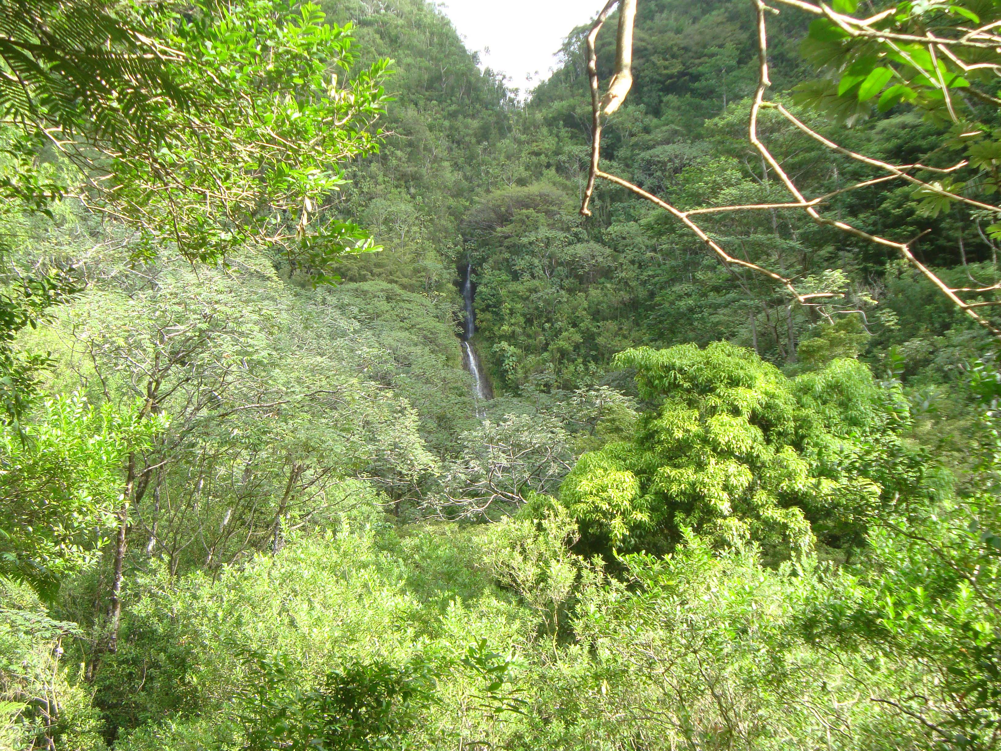 Hawaii_3640